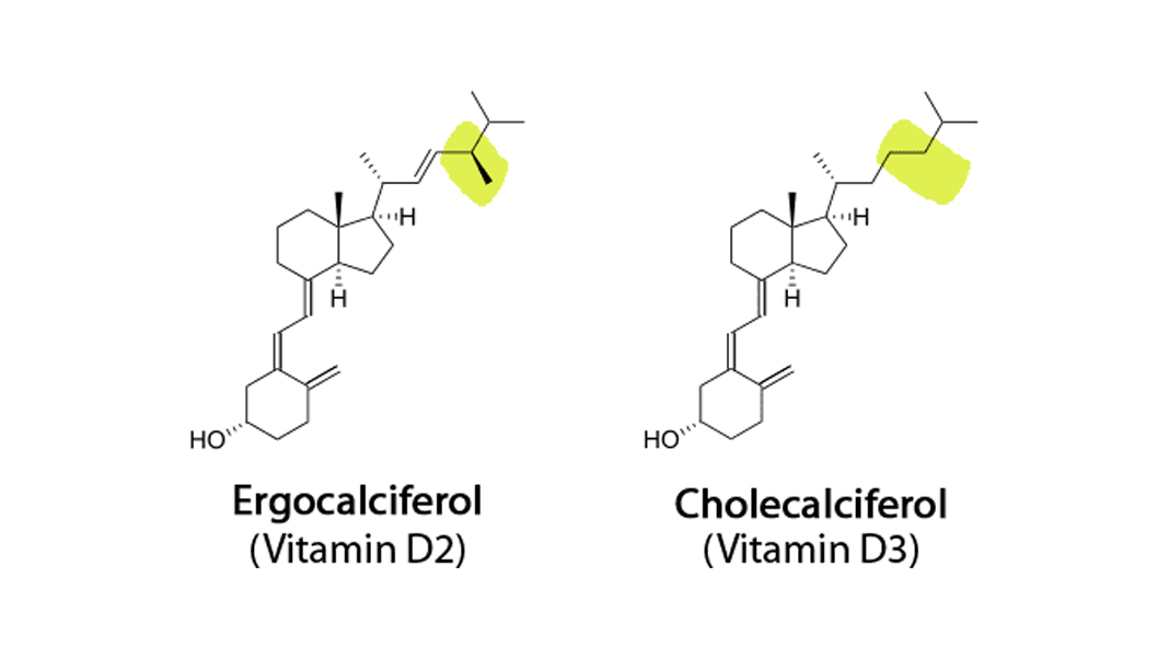 Витамин д 3 вечером. Эргокальциферол (витамин d2). Эргокальциферол и холекальциферол. Витамин d3 формула холекальциферол. Витамин д холекальциферол.